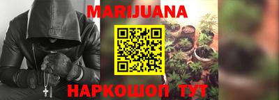индика Мариинск