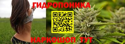 jwh Малоярославец