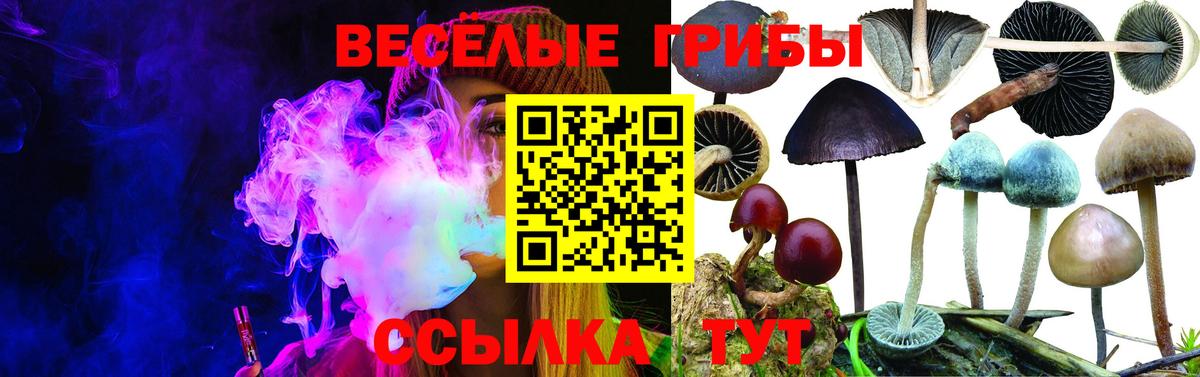 Галлюциногенные грибы Psilocybe  Вход с VPN  Учалы  Псилоцибиновые грибы мухоморы 